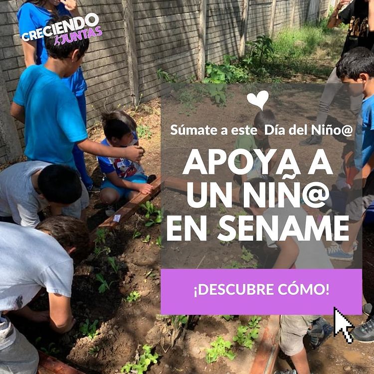 Ficha informativa: Apoya a un niño en sename para el día del niño, descubre como. Niños plantando árboles